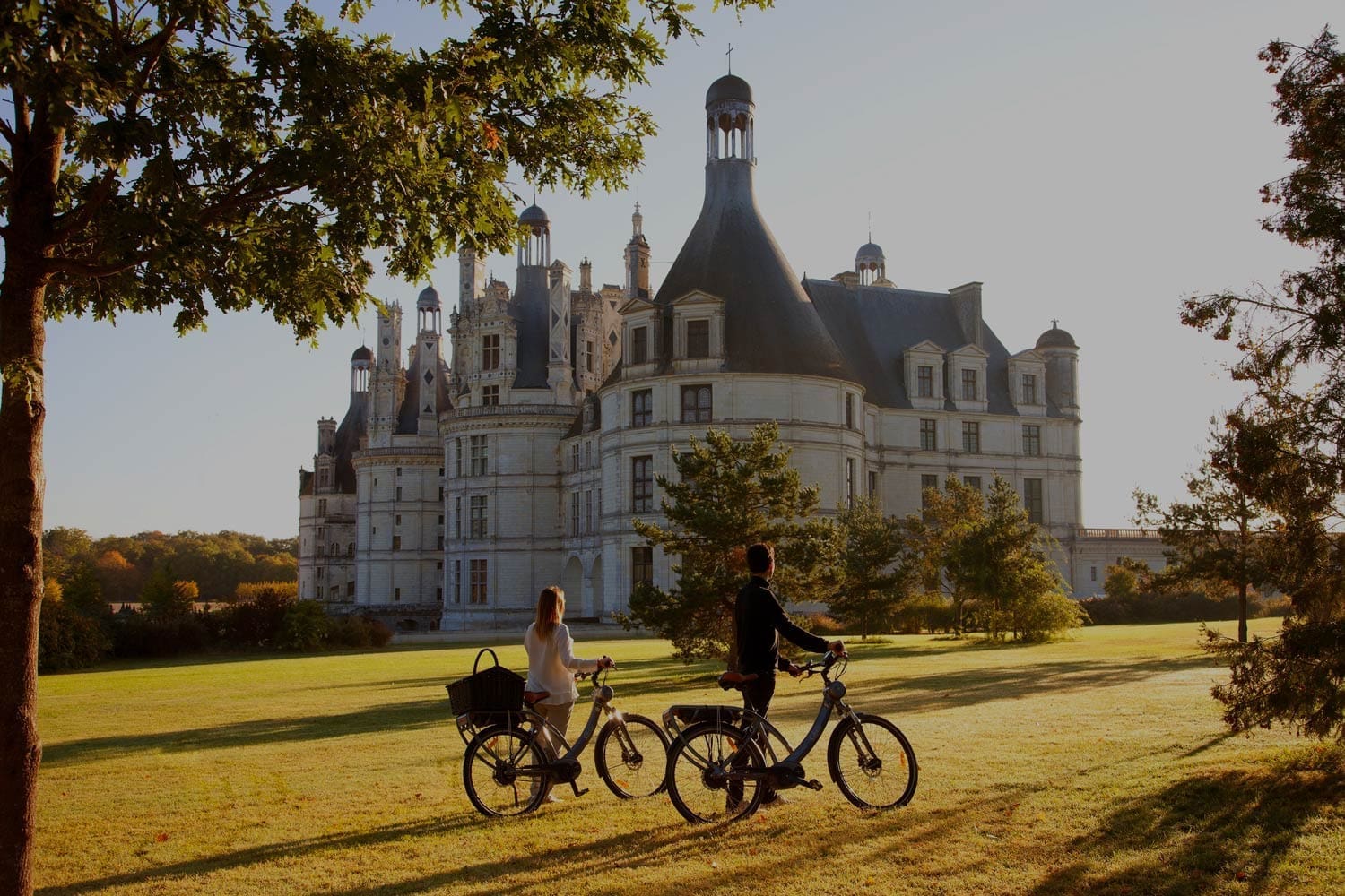 Promenades à vélo - Activités à Chambord