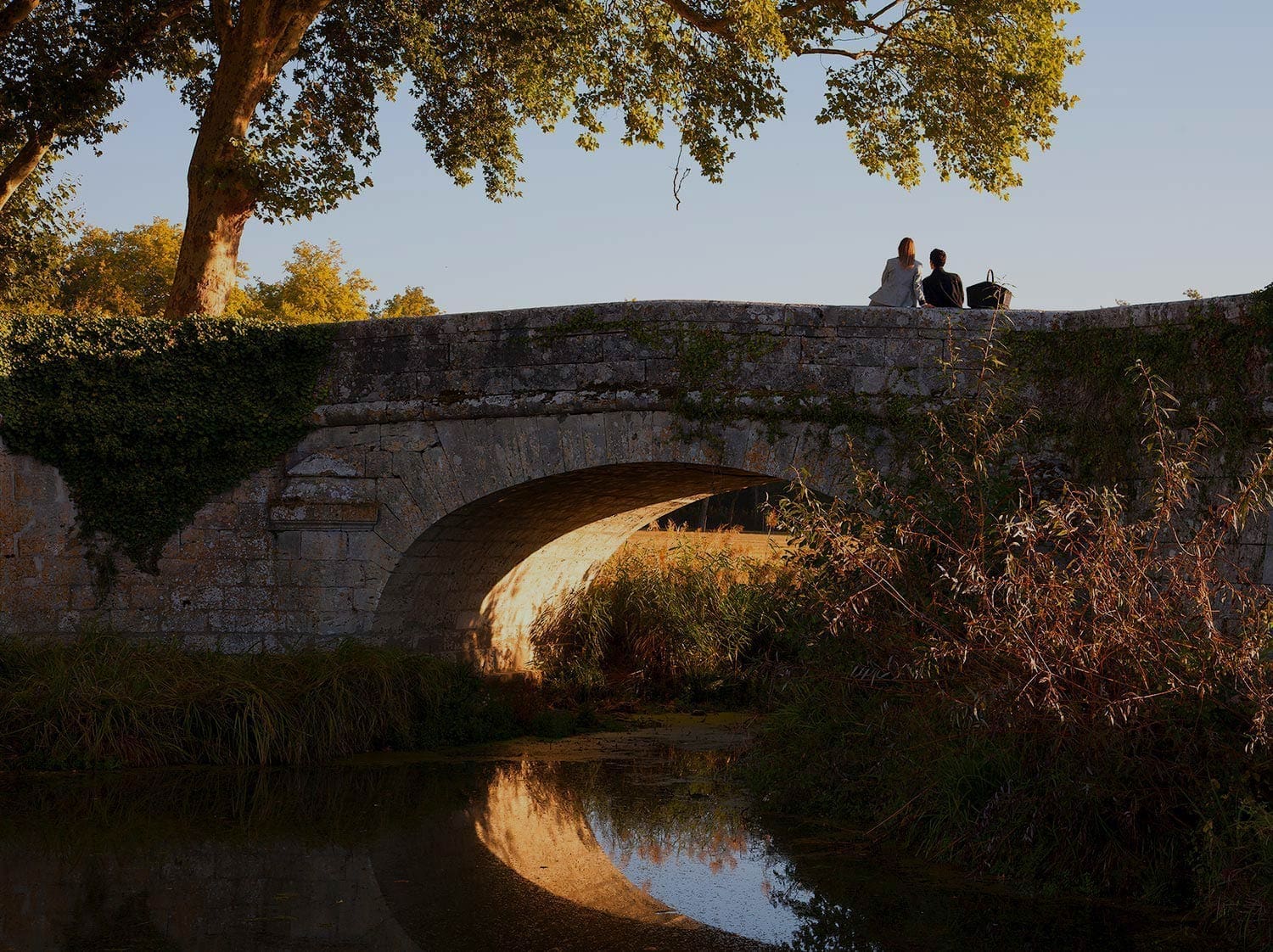 Pont sur la rivière du Cosson - Promenades à Chambord