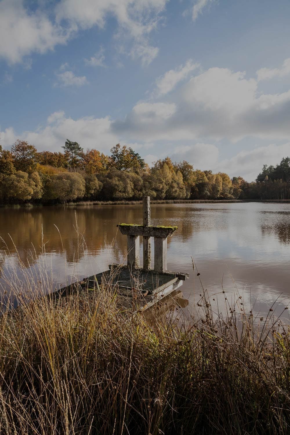 La rivière Cosson à Chambord